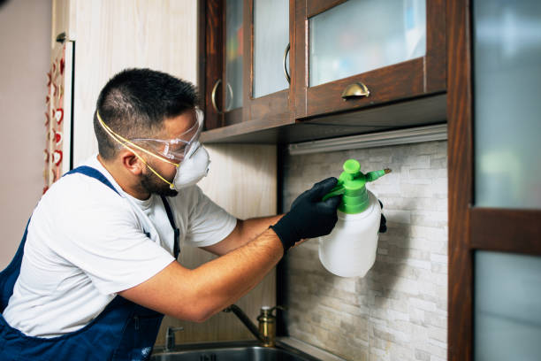 Pest Control Cost in South Plainfield, NJ